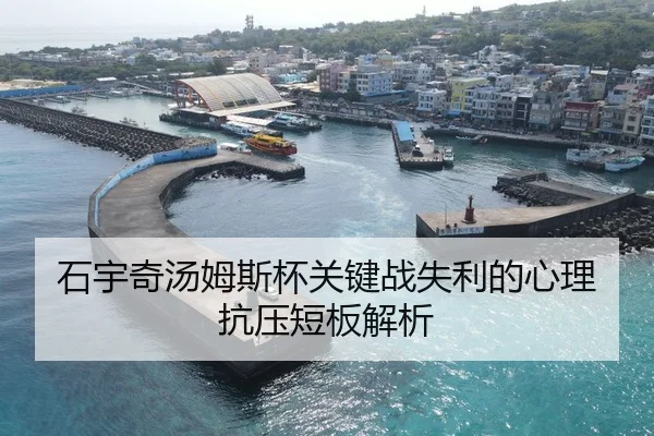 shi-yu-qi-tang-mu-si-bei-guan-jian-zhan-shi-li-de-xin-li-kang-ya-duan-ban-jie-xi-2-528.jpg