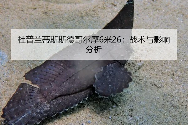 du-pu-lan-di-si-si-de-ge-er-mo-mi-zhan-shu-yu-ying-xiang-fen-xi-2-988.jpg