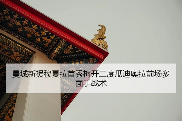 man-cheng-xin-yuan-mu-xia-la-shou-xiu-mei-kai-er-du-gua-di-ao-la-qian-chang-duo-mian-shou-zhan-shu-2-441.jpg